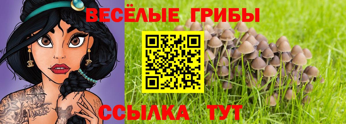 Галлюциногенные грибы Magic Shrooms Зеленогорск