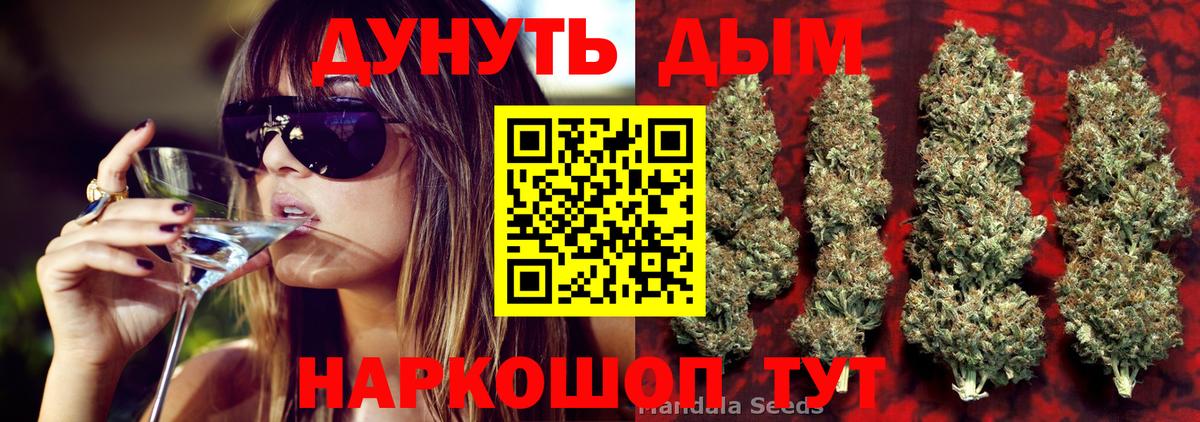 Шишки марихуана планчик  Вход с VPN  МАРИХУАНА гибрид  Канабис Ganja  Зеленогорск 